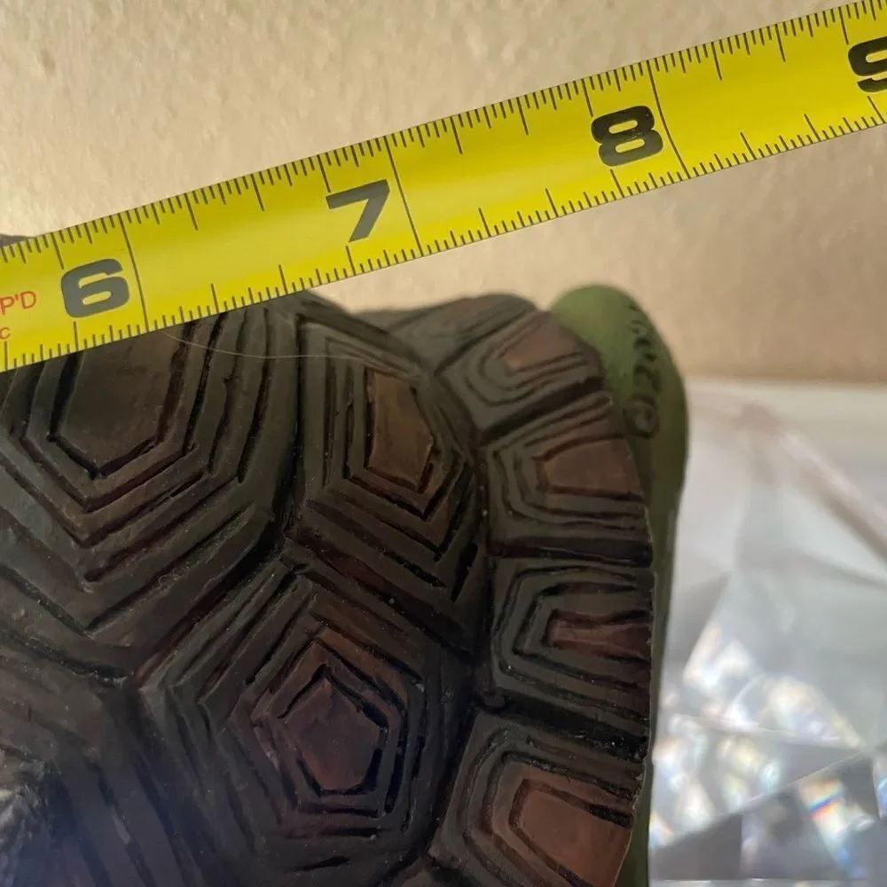 Turtle with riding Gnome from Australia 2011